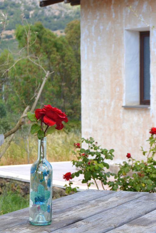 Agriturismo Rubinu Galtellì Quarto foto
