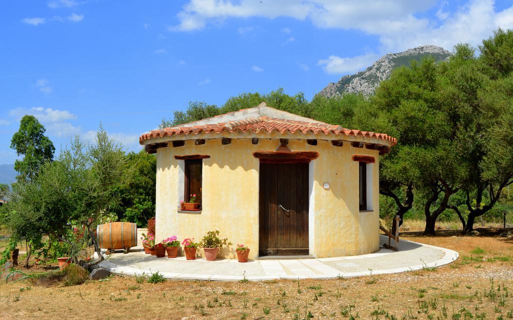 Agriturismo Rubinu Galtellì Quarto foto